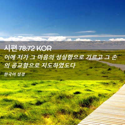 Picture 02 - 시편 78:72 KOR - 이에 저가 그 마음의 성실함으로 - Bible Verse Picture