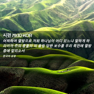 Picture 02 - 시편 79:10 KOR - 어찌하여 열방으로 저희 하나님이 - Bible Verse Picture