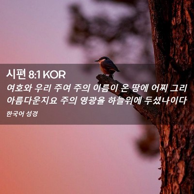 Picture 02 - 시편 8:1 KOR - 여호와 우리 주여 주의 이름이 온 - Bible Verse Picture