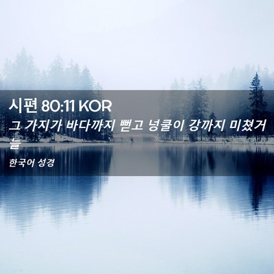 Picture 02 - 시편 80:11 KOR - 그 가지가 바다까지 뻗고 넝쿨이 - Bible Verse Picture