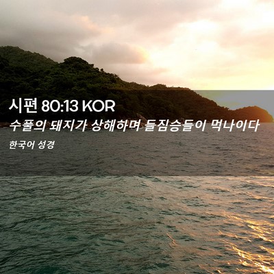 Picture 02 - 시편 80:13 KOR - 수풀의 돼지가 상해하며 들짐승들이 - Bible Verse Picture