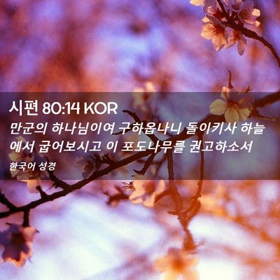 Picture 02 - 시편 80:14 KOR - 만군의 하나님이여 구하옵나니 - Bible Verse Picture