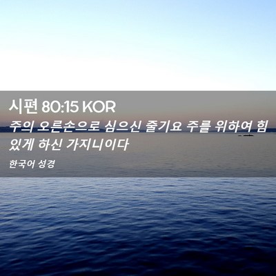 Picture 02 - 시편 80:15 KOR - 주의 오른손으로 심으신 줄기요 주를 - Bible Verse Picture