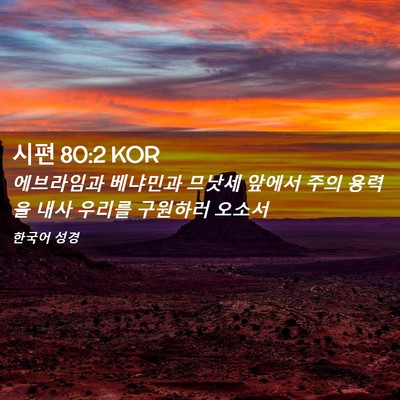 Picture 02 - 시편 80:2 KOR - 에브라임과 베냐민과 므낫세 앞에서 - Bible Verse Picture