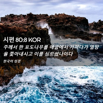 Picture 02 - 시편 80:8 KOR - 주께서 한 포도나무를 애굽에서 - Bible Verse Picture