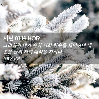 Picture 02 - 시편 81:14 KOR - 그리하면 내가 속히 저희 원수를 - Bible Verse Picture