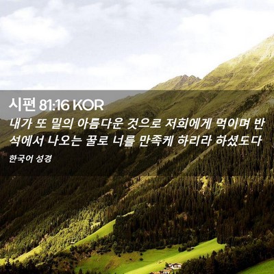Picture 02 - 시편 81:16 KOR - 내가 또 밀의 아름다운 것으로 - Bible Verse Picture