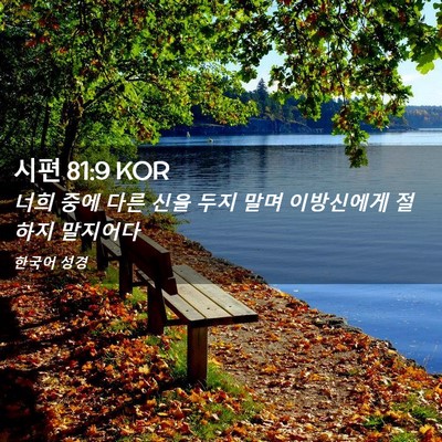 Picture 02 - 시편 81:9 KOR - 너희 중에 다른 신을 두지 말며 - Bible Verse Picture