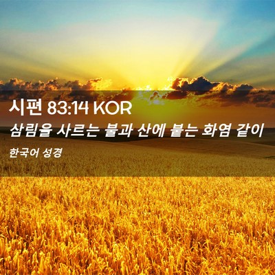 Picture 02 - 시편 83:14 KOR - 삼림을 사르는 불과 산에 붙는 화염 - Bible Verse Picture