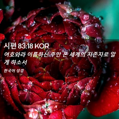 Picture 02 - 시편 83:18 KOR - 여호와라 이름하신 주만 온 세계의 - Bible Verse Picture