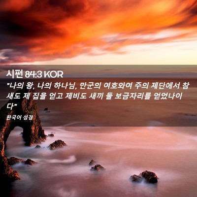 Picture 02 - 시편 84:3 KOR - 