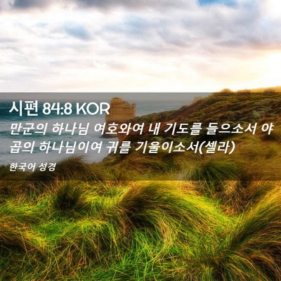 Picture 02 - 시편 84:8 KOR - 만군의 하나님 여호와여 내 기도를 - Bible Verse Picture