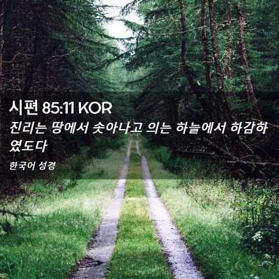 Picture 02 - 시편 85:11 KOR - 진리는 땅에서 솟아나고 의는 - Bible Verse Picture