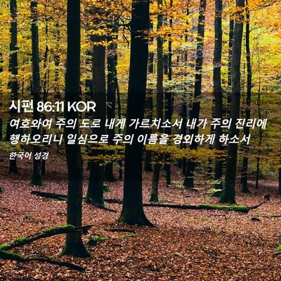 Picture 02 - 시편 86:11 KOR - 여호와여 주의 도로 내게 가르치소서 - Bible Verse Picture