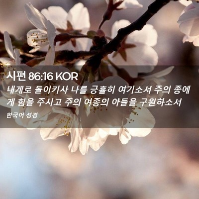 Picture 02 - 시편 86:16 KOR - 내게로 돌이키사 나를 긍휼히 - Bible Verse Picture