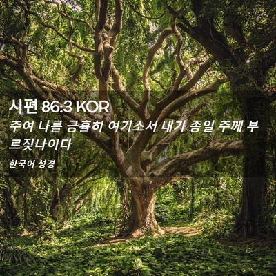 Picture 02 - 시편 86:3 KOR - 주여 나를 긍휼히 여기소서 내가 - Bible Verse Picture