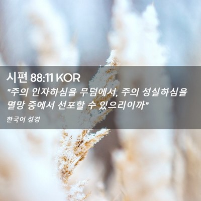 Picture 02 - 시편 88:11 KOR - 