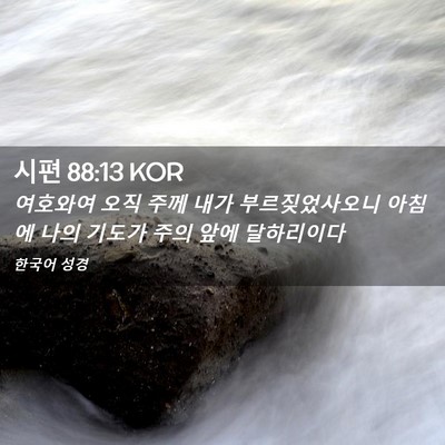 Picture 02 - 시편 88:13 KOR - 여호와여 오직 주께 내가 - Bible Verse Picture