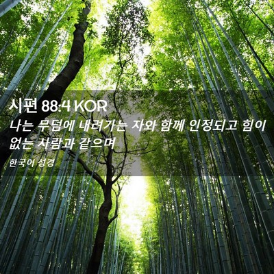 Picture 02 - 시편 88:4 KOR - 나는 무덤에 내려가는 자와 함께 - Bible Verse Picture