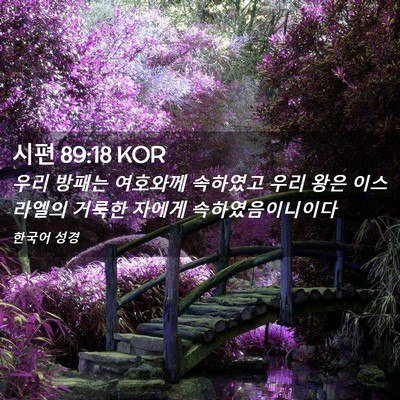 Picture 02 - 시편 89:18 KOR - 우리 방패는 여호와께 속하였고 우리 - Bible Verse Picture
