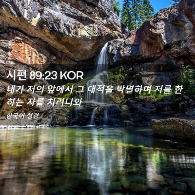 Picture 02 - 시편 89:23 KOR - 내가 저의 앞에서 그 대적을 - Bible Verse Picture