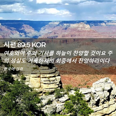 Picture 02 - 시편 89:5 KOR - 여호와여 주의 기사를 하늘이 찬양할 - Bible Verse Picture