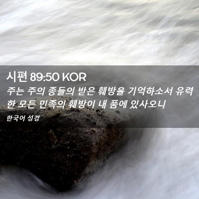 Picture 02 - 시편 89:50 KOR - 주는 주의 종들의 받은 훼방을 - Bible Verse Picture