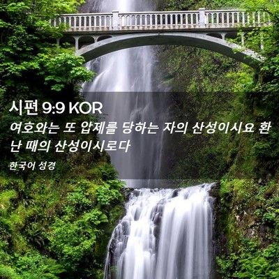 Picture 02 - 시편 9:9 KOR - 여호와는 또 압제를 당하는 자의 - Bible Verse Picture