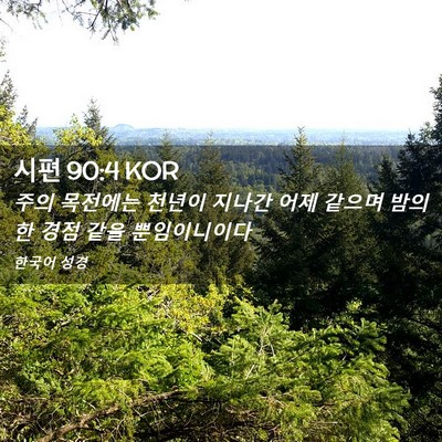 Picture 02 - 시편 90:4 KOR - 주의 목전에는 천년이 지나간 어제 - Bible Verse Picture