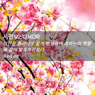 Picture 02 - 시편 92:12 KOR - 의인은 종려나무 같이 번성하며 - Bible Verse Picture