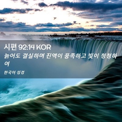 Picture 02 - 시편 92:14 KOR - 늙어도 결실하며 진액이 풍족하고 - Bible Verse Picture