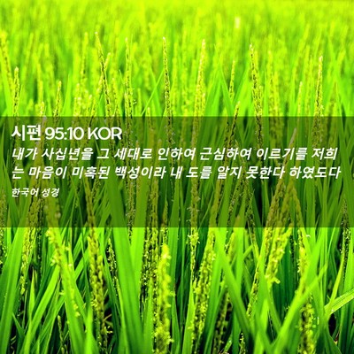 Picture 02 - 시편 95:10 KOR - 내가 사십년을 그 세대로 인하여 - Bible Verse Picture