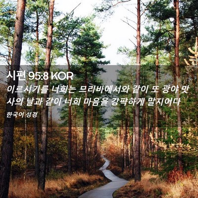 Picture 02 - 시편 95:8 KOR - 이르시기를 너희는 므리바에서와 - Bible Verse Picture