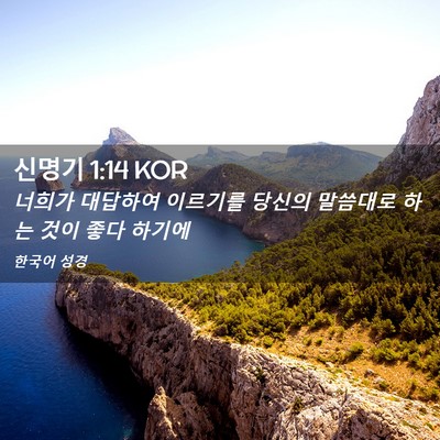 Picture 02 - 신명기 1:14 KOR - 너희가 대답하여 이르기를 당신의 - Bible Verse Picture