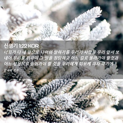 Picture 02 - 신명기 1:22 KOR - 너희가 다 내 앞으로 나아와 - Bible Verse Picture