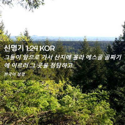 Picture 02 - 신명기 1:24 KOR - 그들이 앞으로 가서 산지에 올라 - Bible Verse Picture