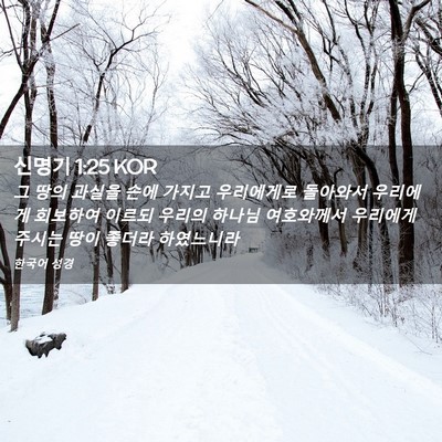 Picture 02 - 신명기 1:25 KOR - 그 땅의 과실을 손에 가지고 - Bible Verse Picture