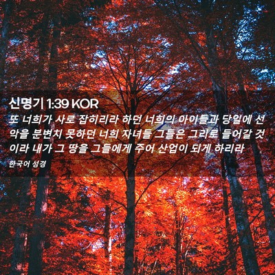Picture 02 - 신명기 1:39 KOR - 또 너희가 사로 잡히리라 하던 - Bible Verse Picture