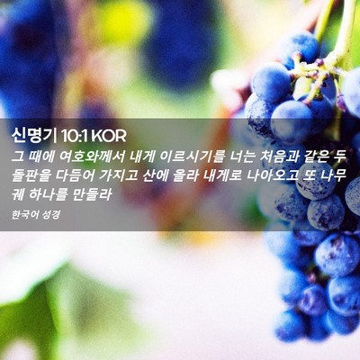 Picture 02 - 신명기 10:1 KOR - 그 때에 여호와께서 내게 이르시기를 - Bible Verse Picture