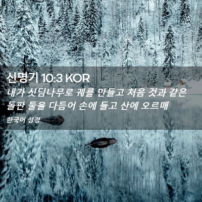 Picture 02 - 신명기 10:3 KOR - 내가 싯딤나무로 궤를 만들고 처음 - Bible Verse Picture