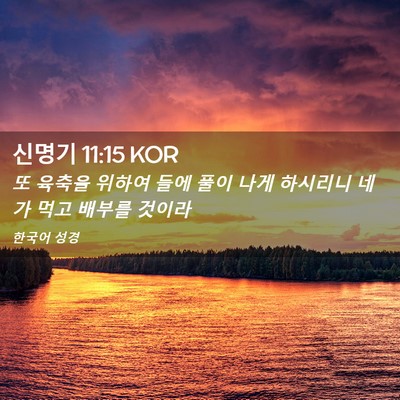 Picture 02 - 신명기 11:15 KOR - 또 육축을 위하여 들에 풀이 나게 - Bible Verse Picture