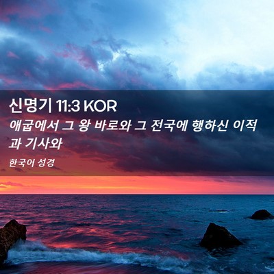 Picture 02 - 신명기 11:3 KOR - 애굽에서 그 왕 바로와 그 전국에 - Bible Verse Picture