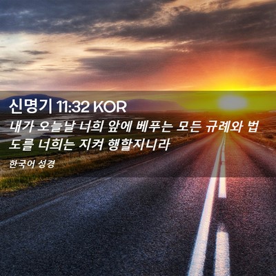 Picture 02 - 신명기 11:32 KOR - 내가 오늘날 너희 앞에 베푸는 모든 - Bible Verse Picture