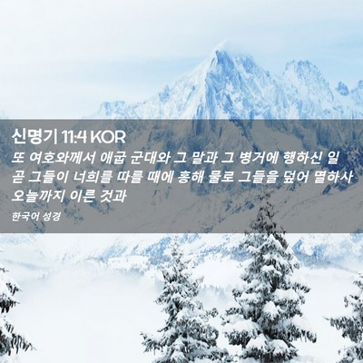 Picture 02 - 신명기 11:4 KOR - 또 여호와께서 애굽 군대와 그 말과 - Bible Verse Picture