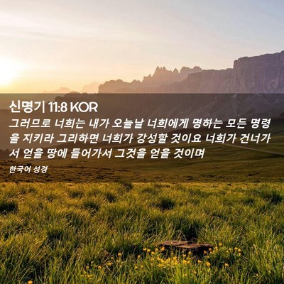 Picture 02 - 신명기 11:8 KOR - 그러므로 너희는 내가 오늘날 - Bible Verse Picture