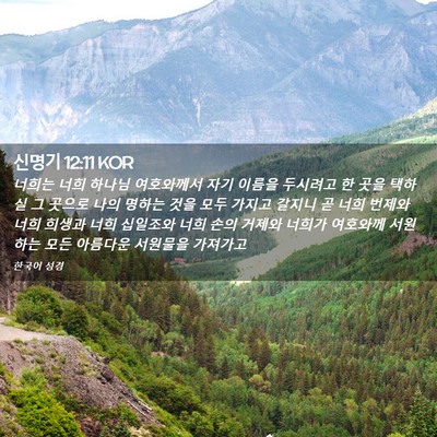 Picture 02 - 신명기 12:11 KOR - 너희는 너희 하나님 여호와께서 자기 - Bible Verse Picture