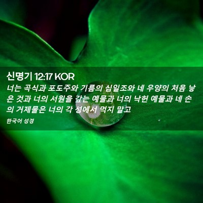 Picture 02 - 신명기 12:17 KOR - 너는 곡식과 포도주와 기름의 - Bible Verse Picture
