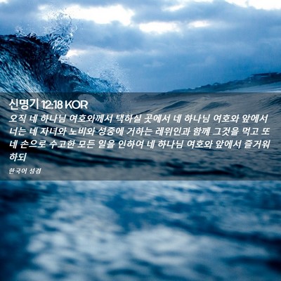 Picture 02 - 신명기 12:18 KOR - 오직 네 하나님 여호와께서 택하실 - Bible Verse Picture