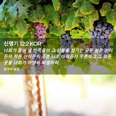 Picture 02 - 신명기 12:2 KOR - 너희가 쫓아 낼 민족들이 그 신들을 - Bible Verse Picture