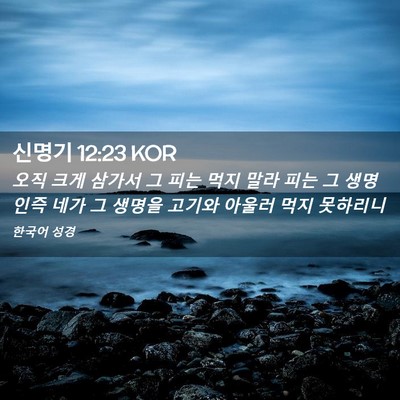 Picture 02 - 신명기 12:23 KOR - 오직 크게 삼가서 그 피는 먹지 말라 - Bible Verse Picture